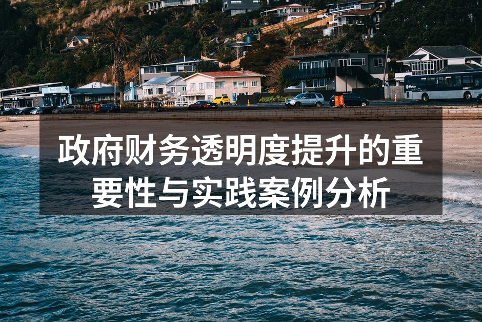 政府财务透明度提升的重要性与实践案例分析