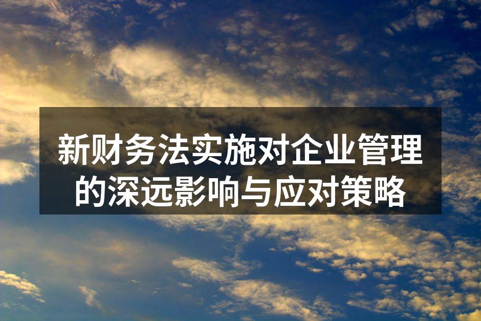新财务法实施对企业管理的深远影响与应对策