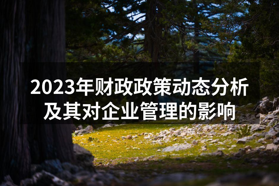 2023年财政政策动态分析及其对企业管理