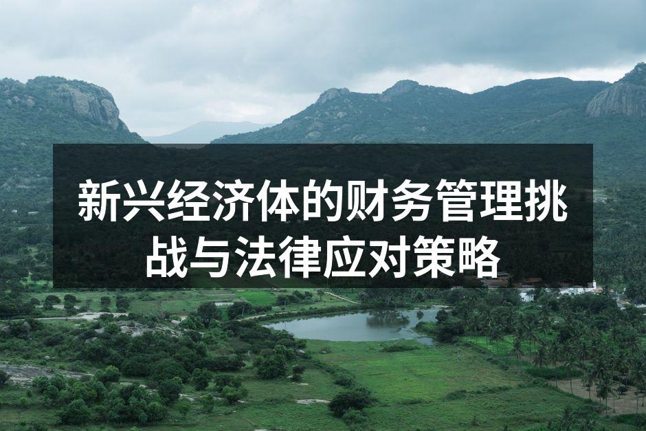 新兴经济体的财务管理挑战与法律应对策略